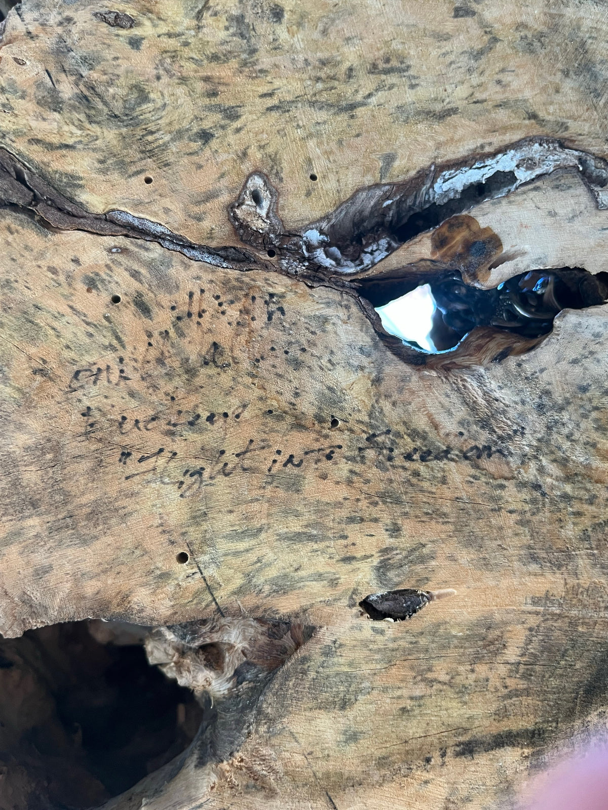 Signed 1970s California Studio Craft Live-Edge Buckeye Burl Root Mushroom Coffee Table "Flight into Freedom"