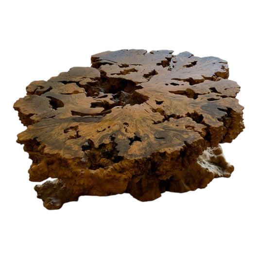 Signed 1970s California Studio Craft Live-Edge Buckeye Burl Root Mushroom Coffee Table "Flight into Freedom"