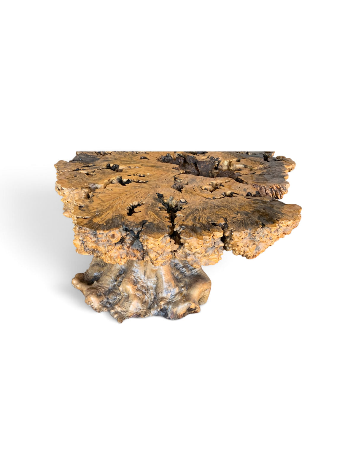 Signed 1970s California Studio Craft Live-Edge Buckeye Burl Root Mushroom Coffee Table "Flight into Freedom"