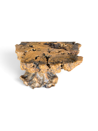 Signed 1970s California Studio Craft Live-Edge Buckeye Burl Root Mushroom Coffee Table "Flight into Freedom"