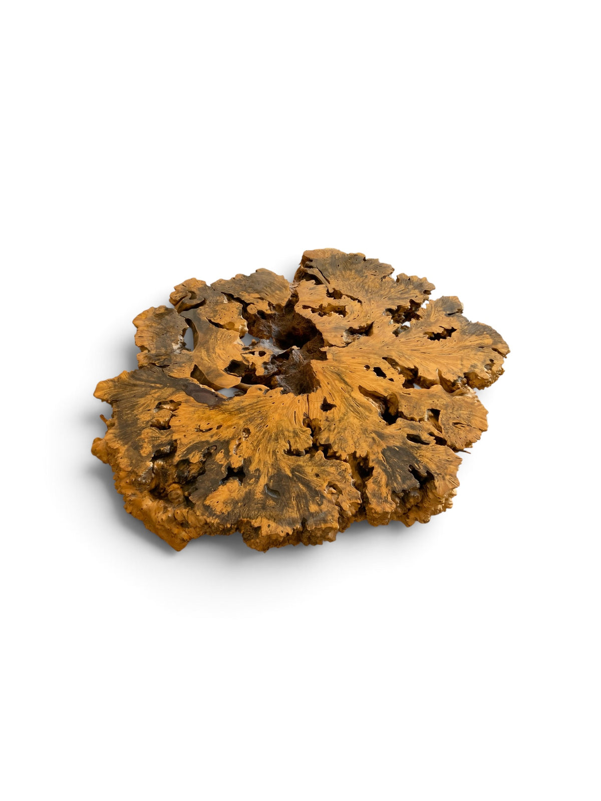 Signed 1970s California Studio Craft Live-Edge Buckeye Burl Root Mushroom Coffee Table "Flight into Freedom"