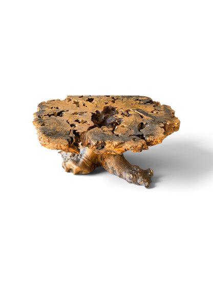 Signed 1970s California Studio Craft Live-Edge Buckeye Burl Root Mushroom Coffee Table "Flight into Freedom"