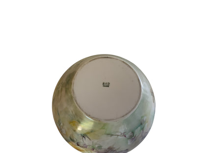 Antique Remi Delinieres & Co Hand Painted Limoge Jardiniere Bowl D&C France